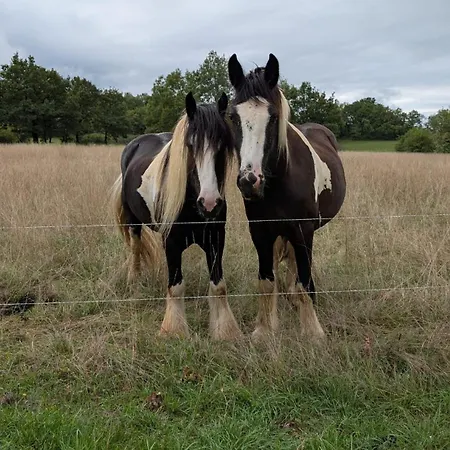 Εξοχικό σπίτι Le Du Bien-etre