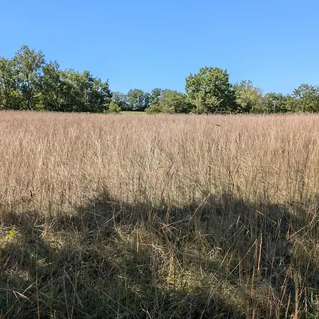 Le Du Bien-etre * Vailhourles