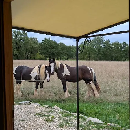 Le Du Bien-etre Vailhourles