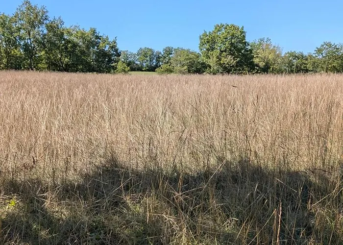 Le Du Bien-être * Vailhourles